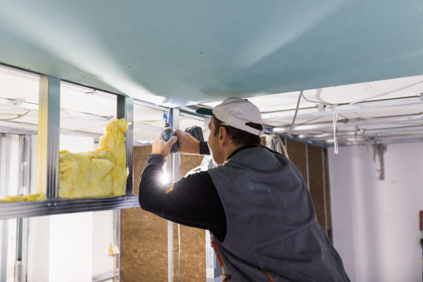 Eco-Friendly or Green Insulation Solutions in Detroit, MI