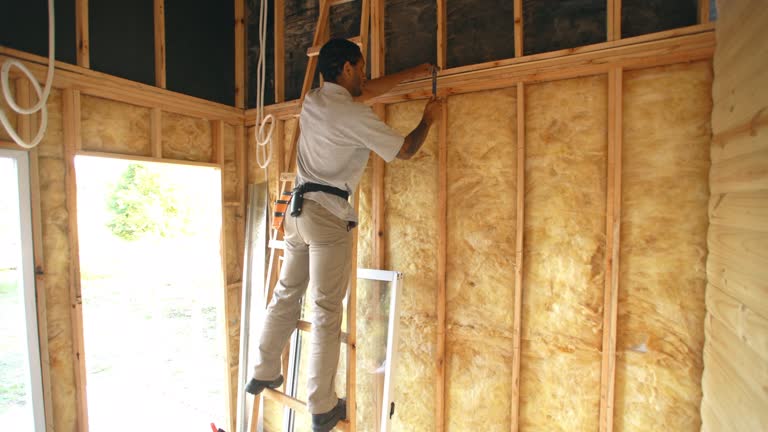 Types of Insulation We Offer in Detroit, MI